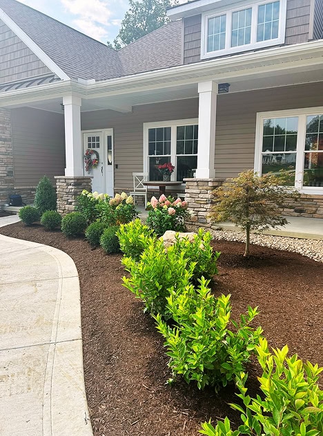 Front walkway of residential home with manicured mulch bed, shrubs and flowers.